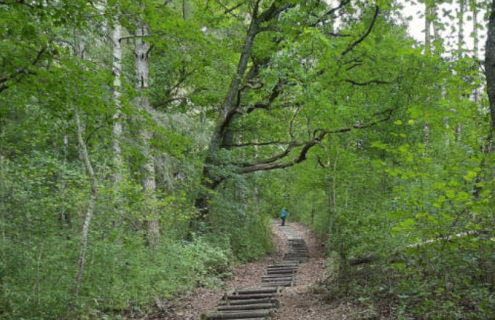 Bildschirmfoto 2023-12-23 um 19.20.16