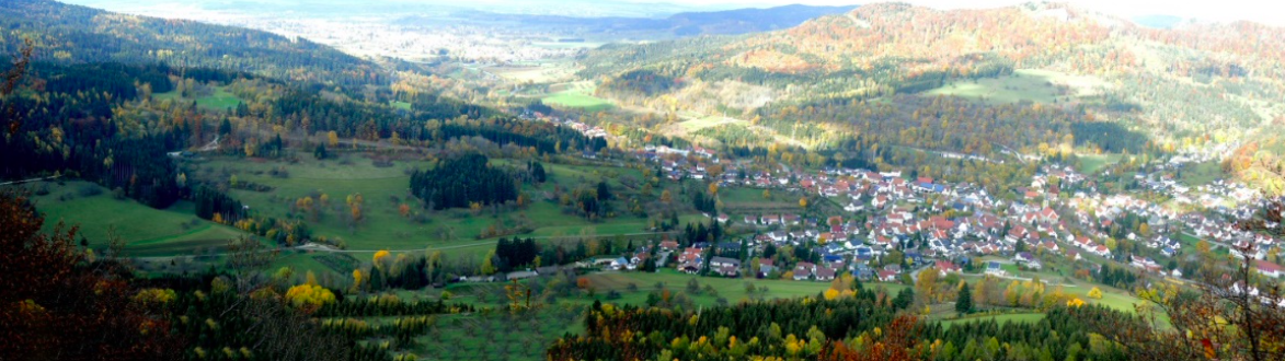 Ortsgruppe Laufen-Lautlingen